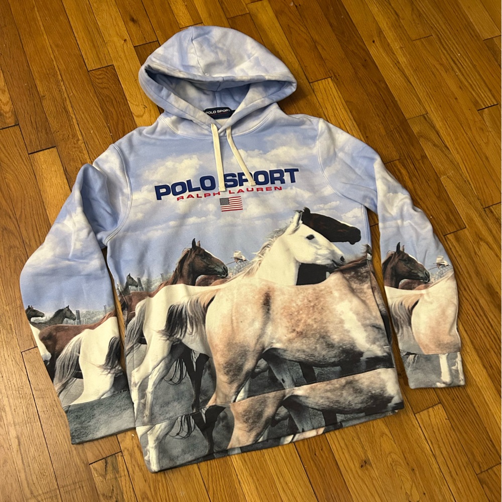 🇺🇸 Polo Ralph Lauren Blue Wild Horses Hoodie